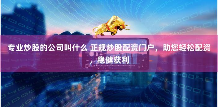 专业炒股的公司叫什么 正规炒股配资门户，助您轻松配资，稳健获利